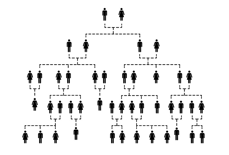 SIR Group: Genealogy - SIR Branch One